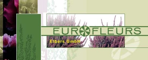 bild3